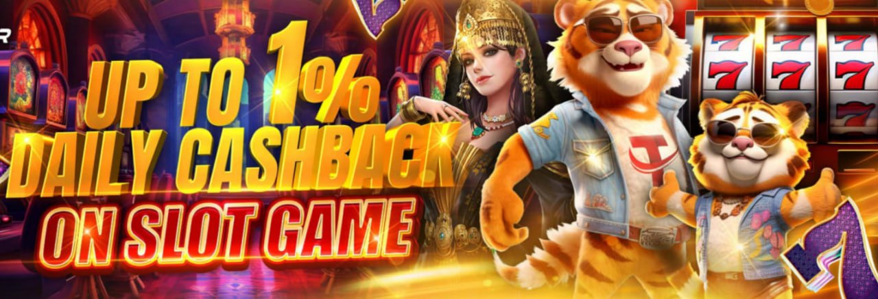vs555 login